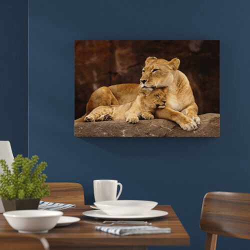 World Menagerie Lioness Cuddles with Her Cub Wall Art on Canvas World Menagerie Size: 70cm H x 100cm W  - Size: Mini (Under 40cm High) World Menagerie Lioness Cuddles with Her Cub Wall Art on Canvas World Menagerie Size: 70cm H x 100cm W  - Size: Mini (Under 40cm High)