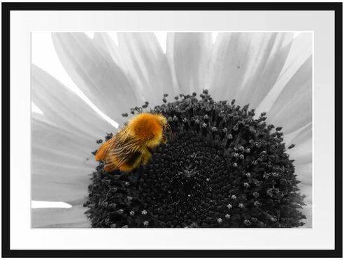 East Urban Home Sweet Bee on Large Sunflower Framed Photographic Print Poster East Urban Home Size: 60cm H x 80cm W  - Size: 100 cm H x 70 cm W East Urban Home Sweet Bee on Large Sunflower Framed Photographic Print Poster East Urban Home Size: 60cm H x 80cm W  - Size: 100 cm H x 70 cm W