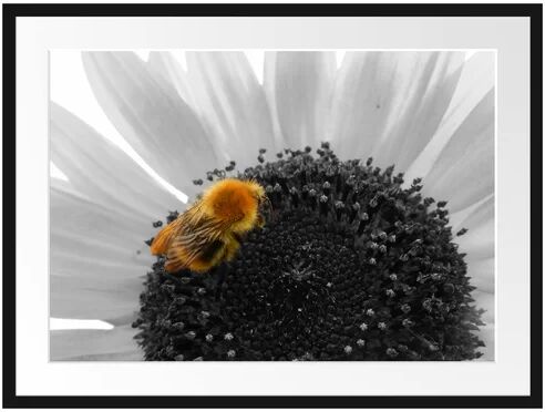 East Urban Home Sweet Bee on Large Sunflower Framed Photographic Print Poster East Urban Home Size: 60cm H x 80cm W  - Size: 100 cm H x 70 cm W