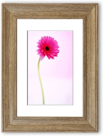 East Urban Home 'Pink On Pink Gerbera Cornwall' Framed Photographic Print East Urban Home Size: 93 cm H x 126 cm W, Frame Options: Teak  - Size: 50 cm H x 70 cm W