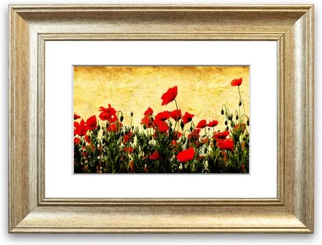 East Urban Home 'Poppy Field Golden Skys Cornwall Flowers' Framed Photographic Print East Urban Home Size: 93 cm H x 70 cm W, Frame Options: Silver  - Size: 93 cm H x 126 cm W