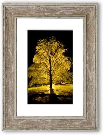 East Urban Home 'The Golden Tree Cornwall' Framed Photographic Print East Urban Home Size: 70 cm H x 93 cm W, Frame Options: Walnut  - Size: 126 cm H x 93 cm W