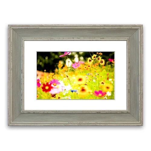 East Urban Home 'Vivid Flowers' Framed Photographic Print East Urban Home Size: 93 cm H x 126 cm W, Frame Options: Blue  - Size: 93 cm H x 126 cm W