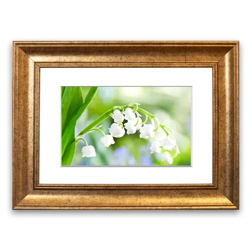 East Urban Home 'Lily of the Valley Macro' Framed Photographic Print East Urban Home Size: 93 cm H x 70 cm W, Frame Options: Gold  - Size: 50 cm H x 70 cm W