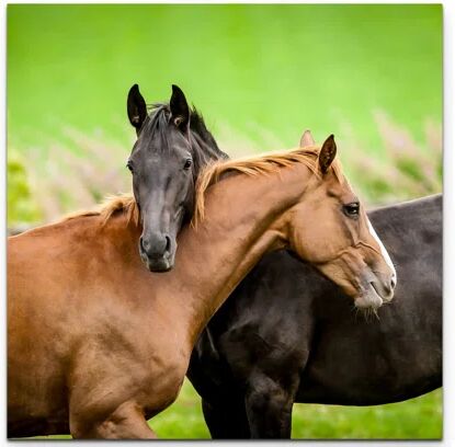 East Urban Home Cuddling Horses on the Pasture Photographic Print on Canvas East Urban Home Size: 60cm L x 60cm W  - Size: Large