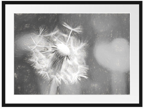 East Urban Home Beautiful White Dandelion Framed Photographic Print East Urban Home Size: 60cm H x 80cm W  - Size: Mini (Under 40cm High) East Urban Home Beautiful White Dandelion Framed Photographic Print East Urban Home Size: 60cm H x 80cm W  - Size: Mini (Under 40cm High)