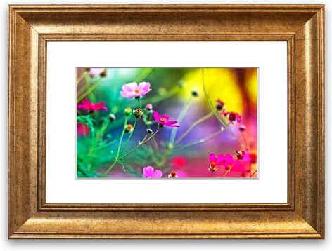 East Urban Home 'Amazing Flowers' Framed Photographic Print East Urban Home Size: 50 cm H x 70 cm W, Frame Options: Gold  - Size: 93 cm H x 126 cm W