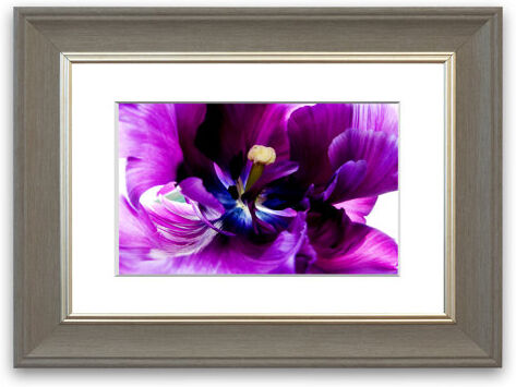 East Urban Home 'In the Centre of Beauty' Framed Photographic Print East Urban Home Size: 93 cm H x 70 cm W, Frame Options: Grey  - Size: 93 cm H x 70 cm W East Urban Home 'In the Centre of Beauty' Framed Photographic Print East Urban Home Size: 93 cm H x 70 cm W, Frame Options: Grey  - Size: 93 cm H x 70 cm W