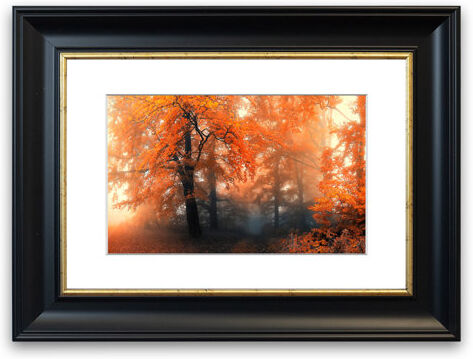 East Urban Home 'Autumn 19 Cornwall Forest' Framed Photographic Print East Urban Home Size: 50 cm H x 70 cm W, Frame Options: Matte Black  - Size: 50 cm H x 70 cm W East Urban Home 'Autumn 19 Cornwall Forest' Framed Photographic Print East Urban Home Size: 50 cm H x 70 cm W, Frame Options: Matte Black  - Size: 50 cm H x 70 cm W