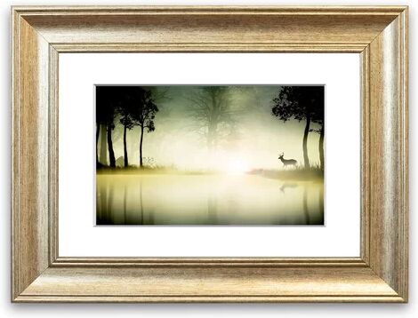 East Urban Home 'Deer in the Morning Lake Cornwall Forest' Framed Photographic Print East Urban Home Size: 93 cm H x 70 cm W, Frame Options: Silver  - Size: 50 cm H x 70 cm W