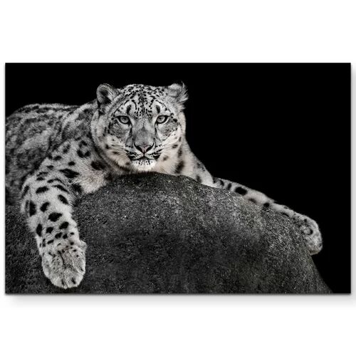 East Urban Home Three-Part Snow Leopard Print on Canvas East Urban Home Size: 120cm L x 40cm W  - Size: Large