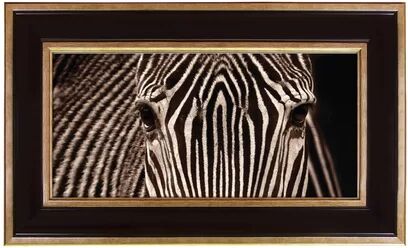 East Urban Home Zebra Framed Photograph East Urban Home  - Size: Mini (Under 40cm High) East Urban Home Zebra Framed Photograph East Urban Home  - Size: Mini (Under 40cm High)