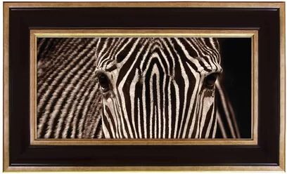 East Urban Home Zebra Framed Photograph East Urban Home  - Size: Mini (Under 40cm High)