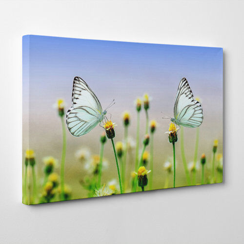 Big Box Art Two Butterflies on Yellow Flowers Photographic Print on Canvas Big Box Art Size: 70cm H x 100cm W  - Size: 70cm H x 100cm W Big Box Art Two Butterflies on Yellow Flowers Photographic Print on Canvas Big Box Art Size: 70cm H x 100cm W  - Size: 70cm H x 100cm W