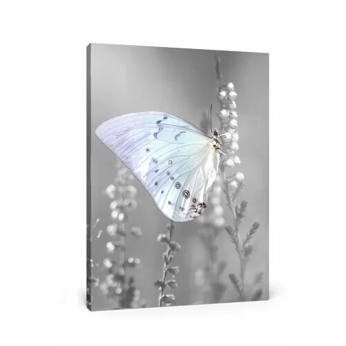 East Urban Home Butterfly on Flower Buds Photographic Print on Canvas East Urban Home  - Size: 40cm H x 60cm W
