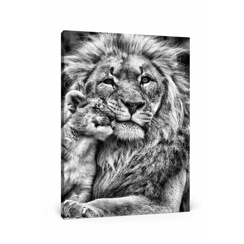 East Urban Home Beautiful Lion with Cub Photographic Print on Canvas East Urban Home Size: 100 cm H x 70 cm W  - Size: Small