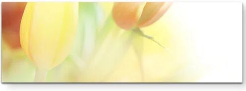 East Urban Home Delicate Yellow Tulips Close-Up Print on Canvas East Urban Home Size: 120cm L x 40cm W  - Size: Mini (Under 40cm High) East Urban Home Delicate Yellow Tulips Close-Up Print on Canvas East Urban Home Size: 120cm L x 40cm W  - Size: Mini (Under 40cm High)