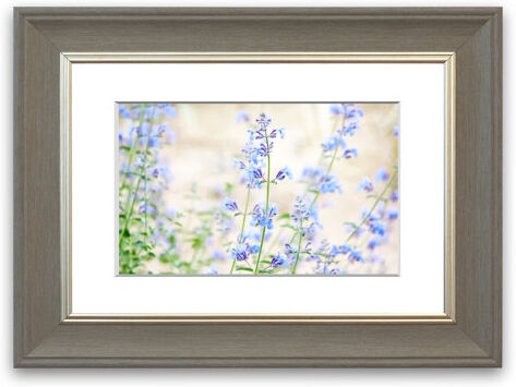 East Urban Home 'Blue Small Flowers' Framed Photographic Print East Urban Home Size: 93 cm H x 70 cm W, Frame Options: Grey  - Size: 93 cm H x 70 cm W East Urban Home 'Blue Small Flowers' Framed Photographic Print East Urban Home Size: 93 cm H x 70 cm W, Frame Options: Grey  - Size: 93 cm H x 70 cm W