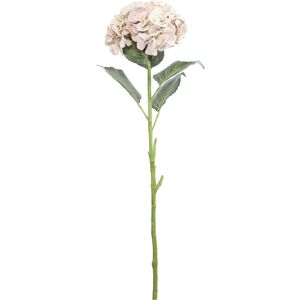 The Seasonal Aisle Hydrangea Flower Stem Pink 78cm H X 23cm W X 21cm D