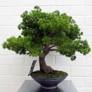 The Seasonal Aisle 50cm Artificial Luxury Pine Bonsai Tree Green 50cm H X 60cm W X 60cm D