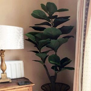 Leaf 120cm (4ft) Large Artificial Fiddle Fig Tree Ficus Evergreen Plant Green 120cm H X 50cm W X 50cm D