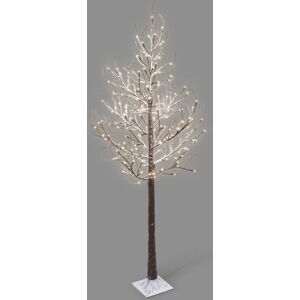 The Seasonal Aisle NETTA Birch Twig Tree with Warm White LED Lights - Brown Brown 5' H The Seasonal Aisle NETTA Birch Twig Tree with Warm White LED Lights - Brown Brown 5' H