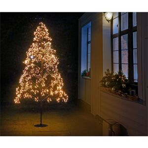 The Seasonal Aisle Indoor / Outdoor Pre Lighted Trees & Branches 6ft 180cm H x 50cm W x 50cm D The Seasonal Aisle Indoor / Outdoor Pre Lighted Trees & Branches 6ft 180cm H x 50cm W x 50cm D