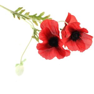 The Seasonal Aisle Poppy Spray in Vase Red 60cm H X 15cm W X 15cm D The Seasonal Aisle Poppy Spray in Vase Red 60cm H X 15cm W X 15cm D
