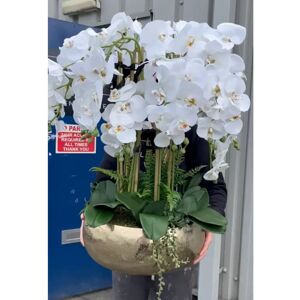 The Seasonal Aisle Cerise Orchid Arrangement in Vase White 70cm H X 40cm W X 40cm D The Seasonal Aisle Cerise Orchid Arrangement in Vase White 70cm H X 40cm W X 40cm D
