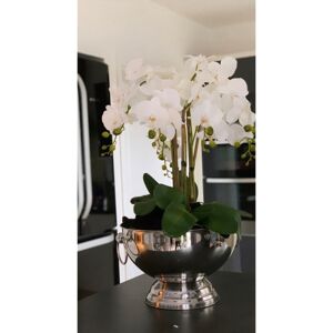The Seasonal Aisle Tall Artificial Orchid Arrangement in Champagne Bowl White 70cm H X 37cm W X 37cm D The Seasonal Aisle Tall Artificial Orchid Arrangement in Champagne Bowl White 70cm H X 37cm W X 37cm D