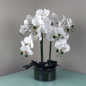 The Seasonal Aisle 50cm Artificial Orchid with Glass Planter White 50cm H X 40cm W X 40cm D The Seasonal Aisle 50cm Artificial Orchid with Glass Planter White 50cm H X 40cm W X 40cm D