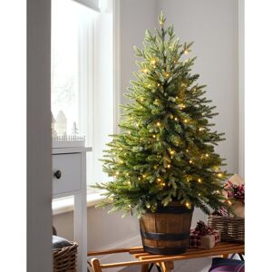 The Seasonal Aisle Pre-Lit Potted 4ft Green Pine Artificial Christmas Tree with 100 Multi-Coloured Lights with Stand 121.92cm H The Seasonal Aisle Pre-Lit Potted 4ft Green Pine Artificial Christmas Tree with 100 Multi-Coloured Lights with Stand 121.92cm H
