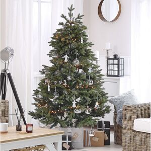 The Seasonal Aisle Huxley Green Pine Artificial Christmas Tree with Stand 5.91ft H x 3.77ft W x 3.77ft D The Seasonal Aisle Huxley Green Pine Artificial Christmas Tree with Stand 5.91ft H x 3.77ft W x 3.77ft D