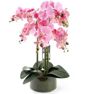 The Seasonal Aisle 50cm Artificial Orchid with Glass Planter Pink 50cm H X 40cm W X 40cm D The Seasonal Aisle 50cm Artificial Orchid with Glass Planter Pink 50cm H X 40cm W X 40cm D
