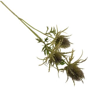 The Seasonal Aisle Sea Holly Mixed Stems Green 73cm H X 12cm W X 12cm D The Seasonal Aisle Sea Holly Mixed Stems Green 73cm H X 12cm W X 12cm D