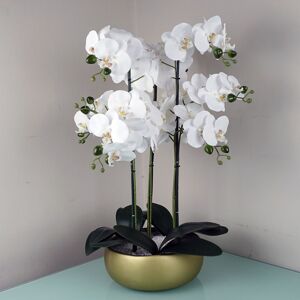 Leaf Orchid Floral Arrangement in Planter White/Gold 60cm H X 40cm W X 40cm D Leaf Orchid Floral Arrangement in Planter White/Gold 60cm H X 40cm W X 40cm D