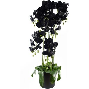 The Seasonal Aisle 110cm Large Orchid Plant Artifcial 41 REAL TOUCH flowers Black 110cm H X 40cm W X 40cm D The Seasonal Aisle 110cm Large Orchid Plant Artifcial 41 REAL TOUCH flowers Black 110cm H X 40cm W X 40cm D