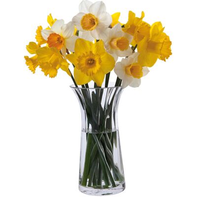 Dartington Crystal Florabundance Table Vase 22.5cm H X 11.9cm D Dartington Crystal Florabundance Table Vase 22.5cm H X 11.9cm D