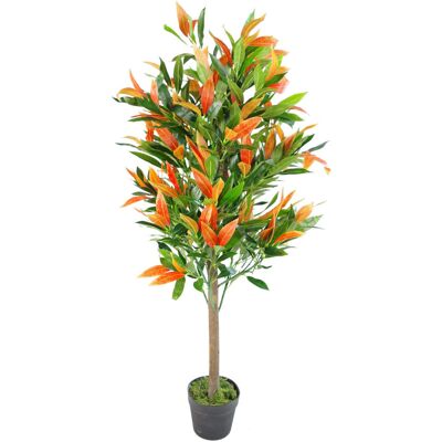Leaf Artificial Red and Green Ficus Tree in Pot Green 130cm H X 50cm W X 50cm D Leaf Artificial Red and Green Ficus Tree in Pot Green 130cm H X 50cm W X 50cm D