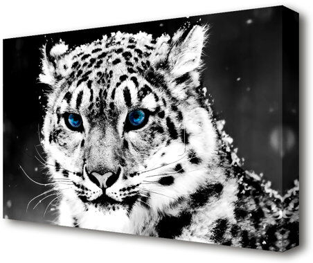 East Urban Home 'Snow Blue Eye Leopard Wild Life' Photographic Print on Canvas East Urban Home Size: 81.3 cm H x 121.9 cm W  - Size: 101.6 cm H x 142.2 cm W East Urban Home 'Snow Blue Eye Leopard Wild Life' Photographic Print on Canvas East Urban Home Size: 81.3 cm H x 121.9 cm W  - Size: 101.6 cm H x 142.2 cm W