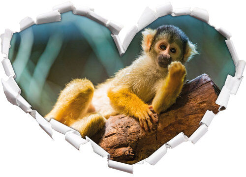 East Urban Home Small Capucin Monkey on Tree Wall Sticker East Urban Home Size: 43.5cm H x 62cm W x 0.02cm D  - Size: 43.5cm H x 62cm W x 0.02cm D East Urban Home Small Capucin Monkey on Tree Wall Sticker East Urban Home Size: 43.5cm H x 62cm W x 0.02cm D  - Size: 43.5cm H x 62cm W x 0.02cm D