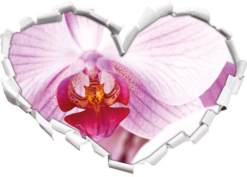 East Urban Home Magnificent Pink Orchid Wall Sticker East Urban Home  - Size: 43.5cm H x 62cm W x 0.02cm D East Urban Home Magnificent Pink Orchid Wall Sticker East Urban Home  - Size: 43.5cm H x 62cm W x 0.02cm D