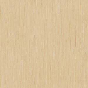 Latitude Run Lexxa 10m x 53cm Textured Metallic Finish Wallpaper Roll Gold 1,000cm L X 53cm W Latitude Run Lexxa 10m x 53cm Textured Metallic Finish Wallpaper Roll Gold 1,000cm L X 53cm W