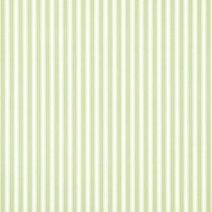 Sanderson New Tiger Stripe 10.05m x 52cm Matte Wallpaper Roll Green 1,005cm L X 52cm W Sanderson New Tiger Stripe 10.05m x 52cm Matte Wallpaper Roll Green 1,005cm L X 52cm W