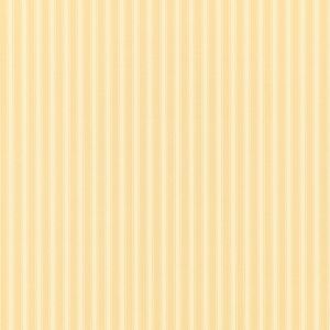 Sanderson New Tiger Stripe 10.05m x 52cm Matte Wallpaper Roll Orange 1,005cm L X 52cm W Sanderson New Tiger Stripe 10.05m x 52cm Matte Wallpaper Roll Orange 1,005cm L X 52cm W
