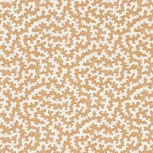 Sanderson Truffle 10.05m x 52cm Matte Wallpaper Roll Orange 1,005cm L X 52cm W Sanderson Truffle 10.05m x 52cm Matte Wallpaper Roll Orange 1,005cm L X 52cm W