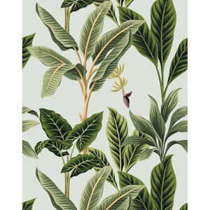 17 Stories Vintage Tropical Wallpaper Green 700cm L X 75cm W 17 Stories Vintage Tropical Wallpaper Green 700cm L X 75cm W