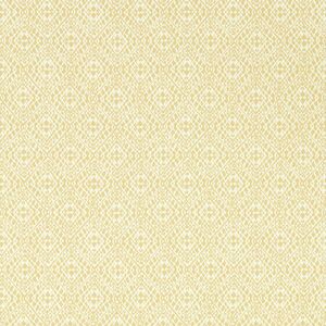 Sanderson Pinjara Trellis Woad Wallpaper - Wallpaper Sanderson Pinjara Trellis Woad Wallpaper - Wallpaper