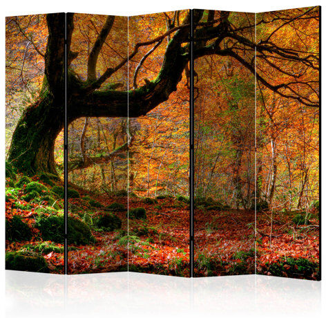 Union Rustic Cantu 5 Panel Room Divider Union Rustic  - Size: 200cm H x 250cm W Union Rustic Cantu 5 Panel Room Divider Union Rustic  - Size: 200cm H x 250cm W