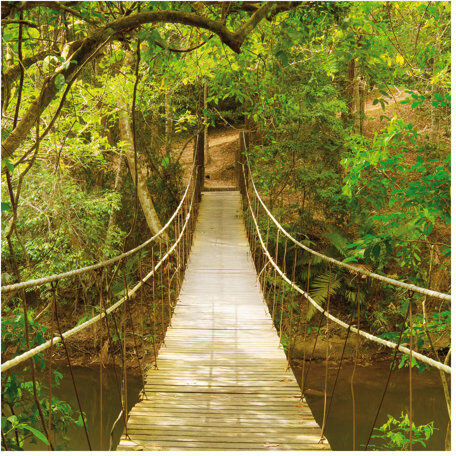 East Urban Home Jungle Bridge in the Forest Semi-Gloss Wallpaper Roll East Urban Home Size: 2.4m x 240cm  - Size: 4.32m x 290cm East Urban Home Jungle Bridge in the Forest Semi-Gloss Wallpaper Roll East Urban Home Size: 2.4m x 240cm  - Size: 4.32m x 290cm